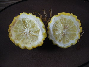 b0052108_17291280.jpg