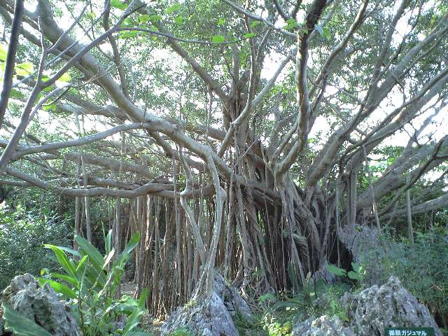 e0123920_0402376.jpg