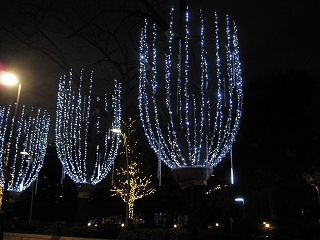 f0149420_11441959.jpg