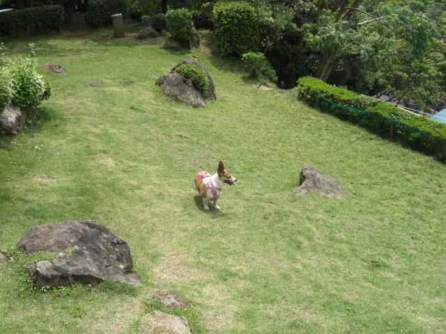 f0182121_11155210.jpg