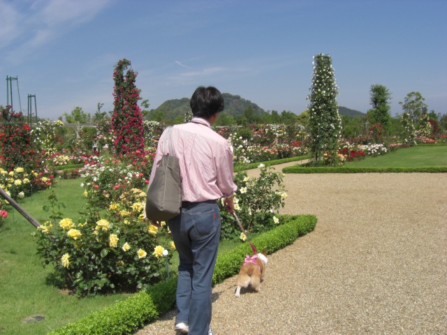 f0182121_1124265.jpg