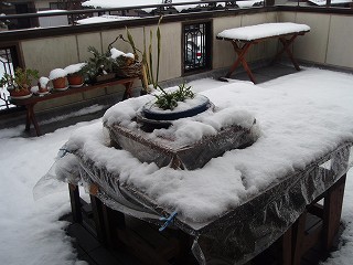 b0008825_931630.jpg