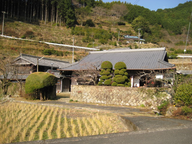 d0147727_20355013.jpg