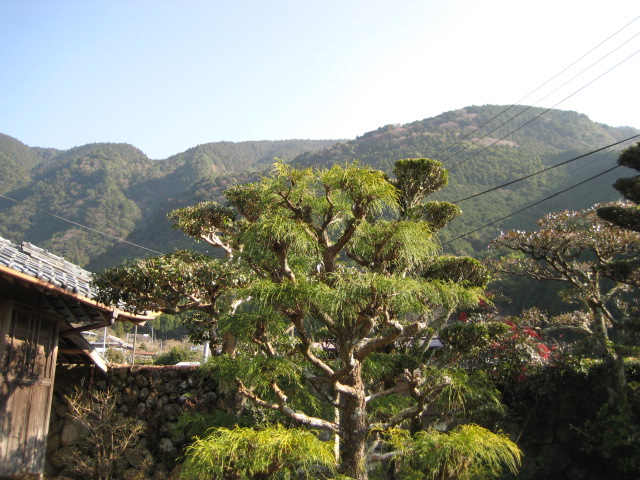 d0147727_20513957.jpg
