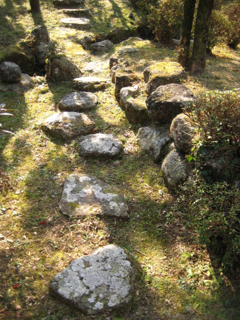 d0147727_2054058.jpg