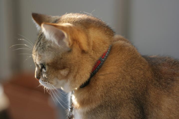 f0055228_2013298.jpg