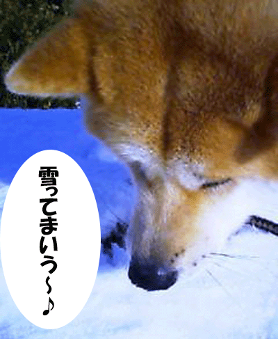 f0008935_11235435.gif