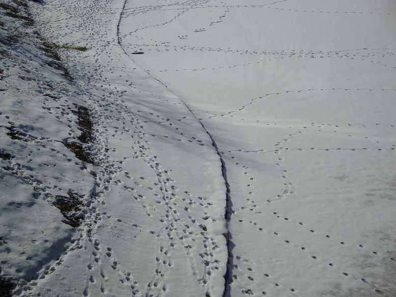 b0115536_13303646.jpg