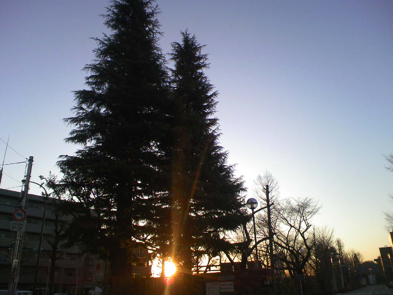 c0125637_8592323.jpg