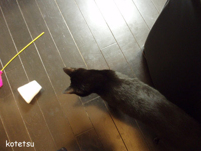 c0132438_22171850.jpg