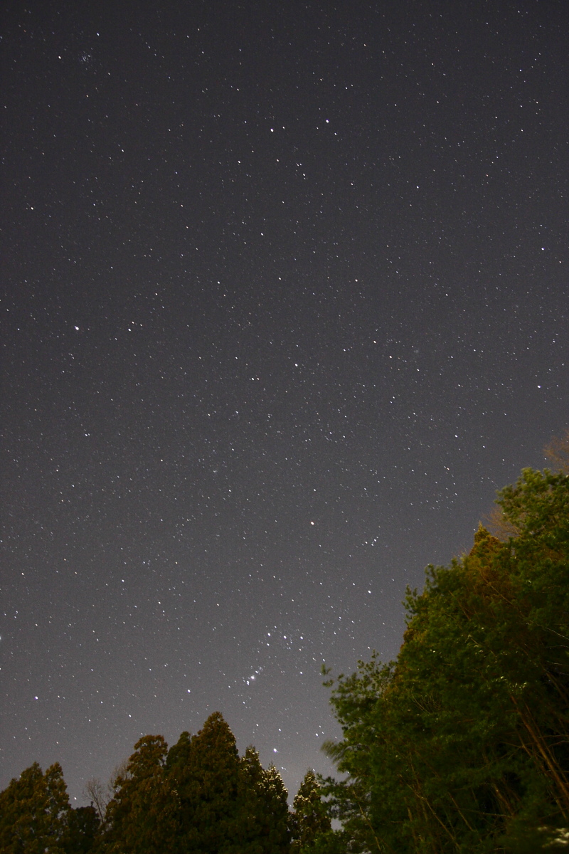 d0135242_525107.jpg