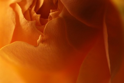 e0009147_945494.jpg