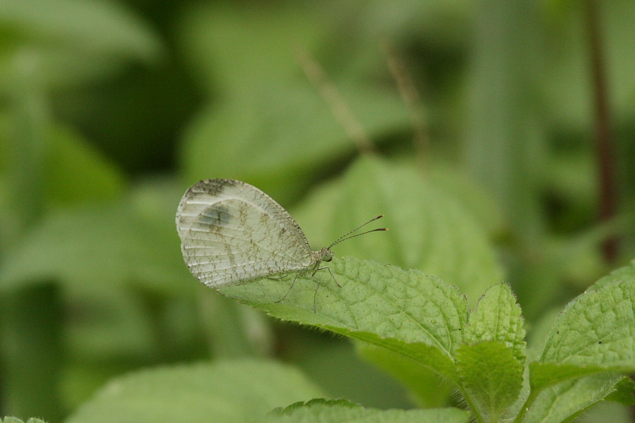 a0094850_19584877.jpg
