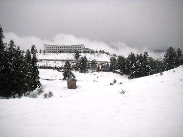 f0112655_23313959.jpg