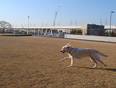 b0131364_7325776.jpg