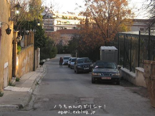 f0037264_8332710.jpg