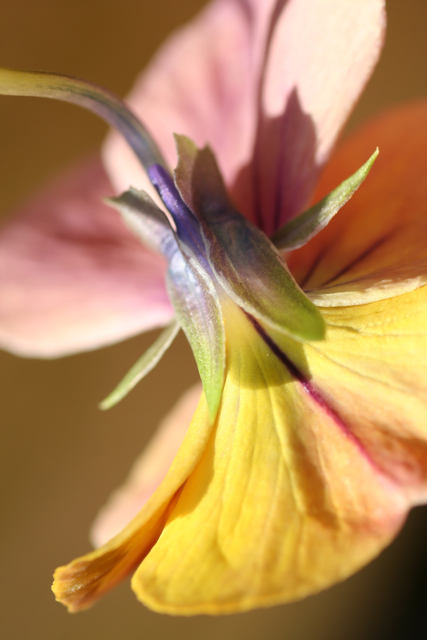 c0163369_1151591.jpg