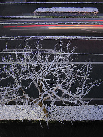 c0104371_17494245.jpg