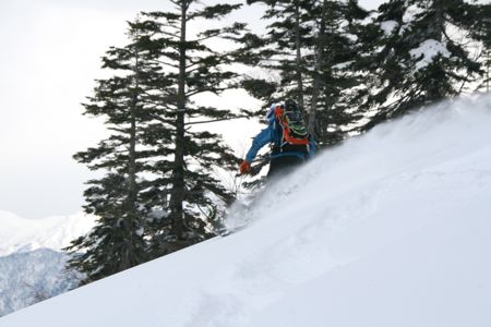 d0079579_20241022.jpg