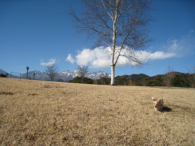 a0038882_17434478.jpg