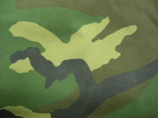 c0160084_16474293.jpg