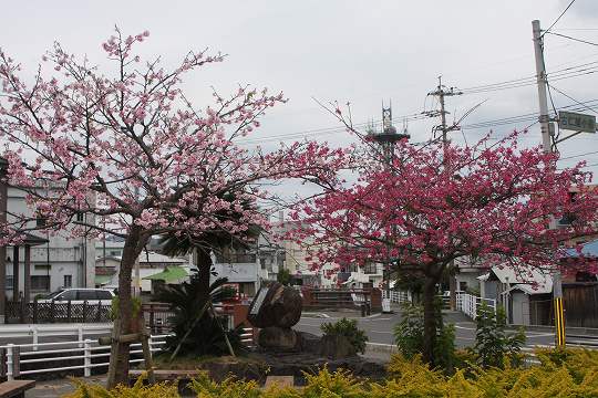b0115085_1474387.jpg