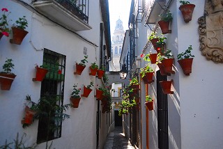 e0155786_2263532.jpg