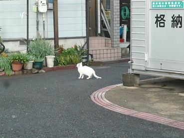 c0123890_21465999.jpg