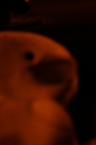 d0133693_16101457.jpg