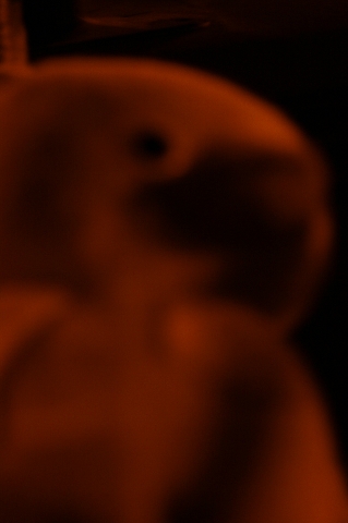 d0133693_16102538.jpg