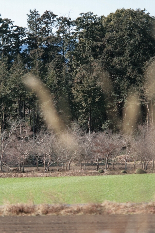 d0133693_1682492.jpg