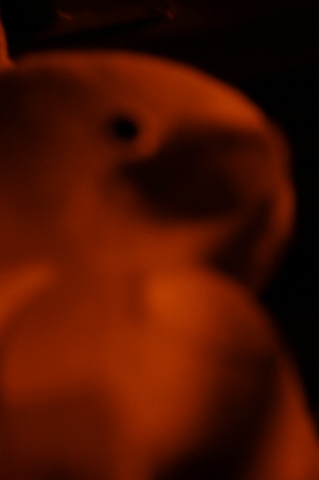 d0133693_1695136.jpg