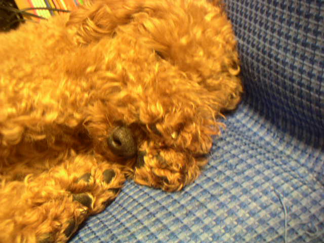 c0173896_020383.jpg