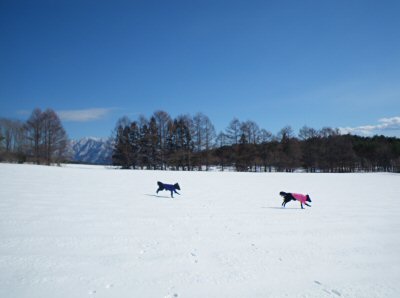 c0050400_23283489.jpg