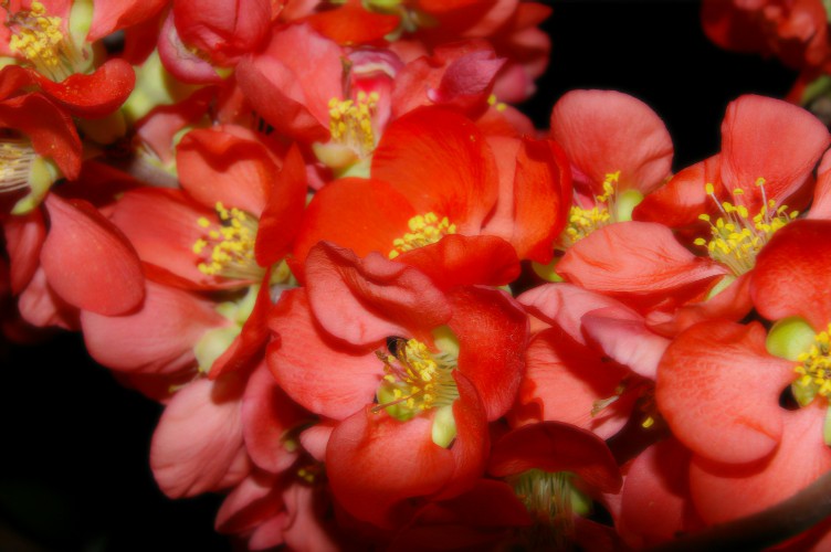 d0124100_1928751.jpg