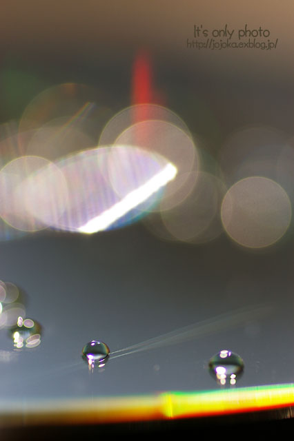 e0008800_2341544.jpg