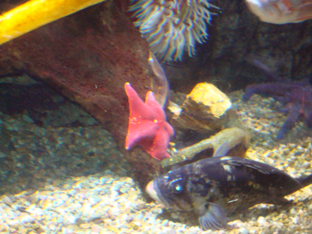 e0103700_13244641.jpg