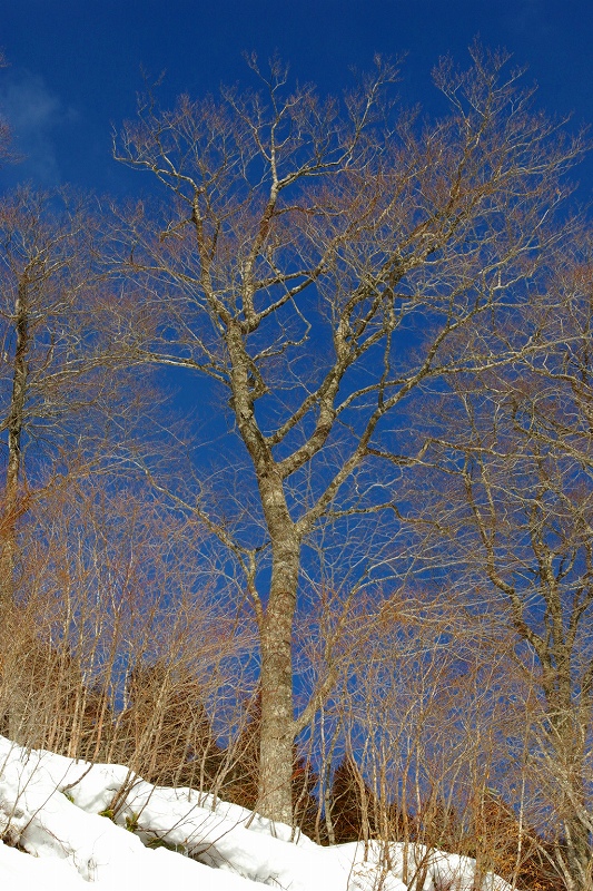 b0050305_210775.jpg