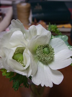 f0129610_0481480.jpg
