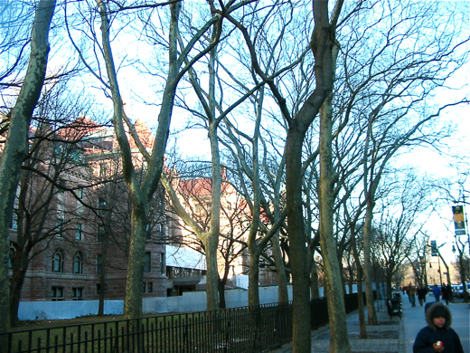 a0110515_12195232.jpg