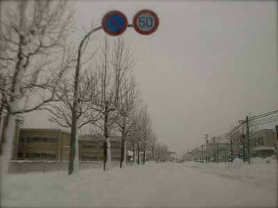 c0120817_185070.jpg