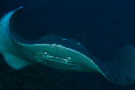 f0041023_18372868.jpg