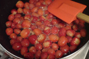 a0062324_065192.gif