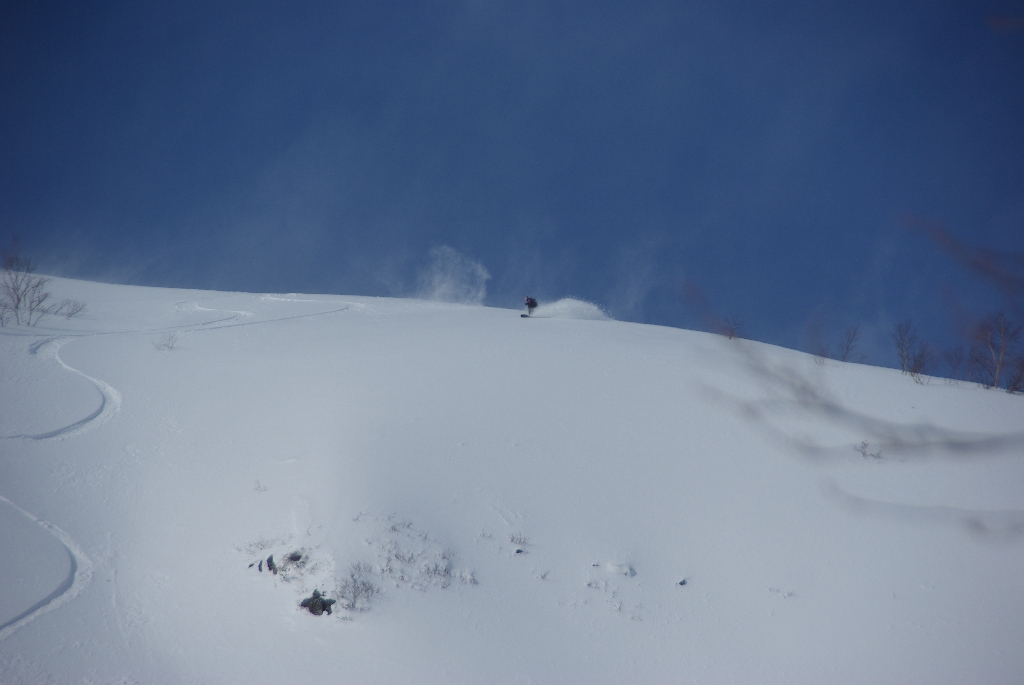 b0062024_20404456.jpg