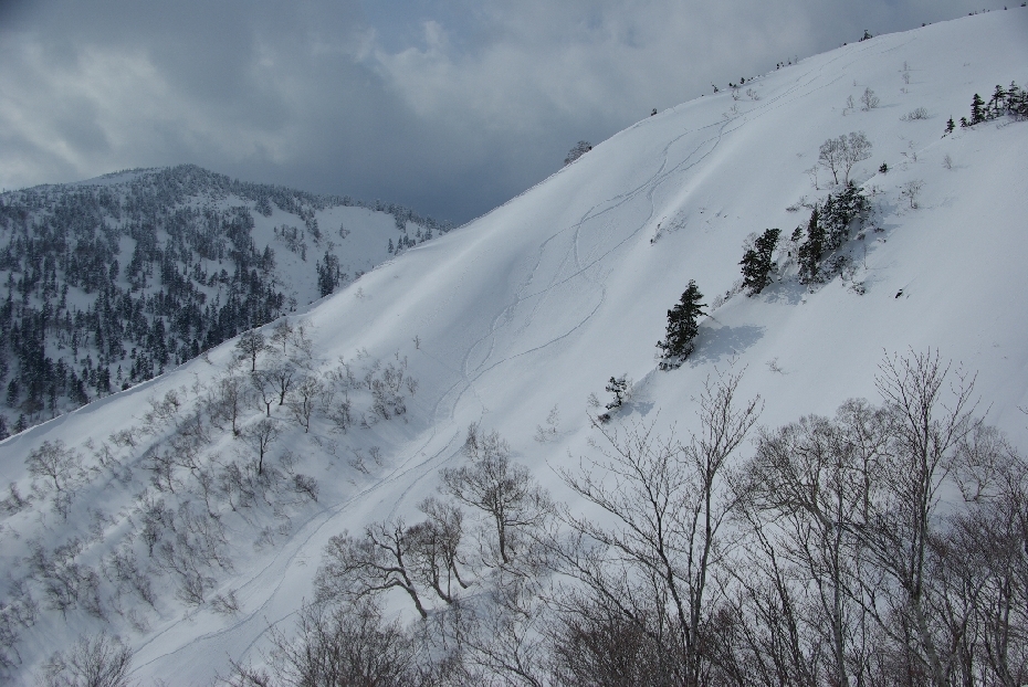 b0062024_20482270.jpg
