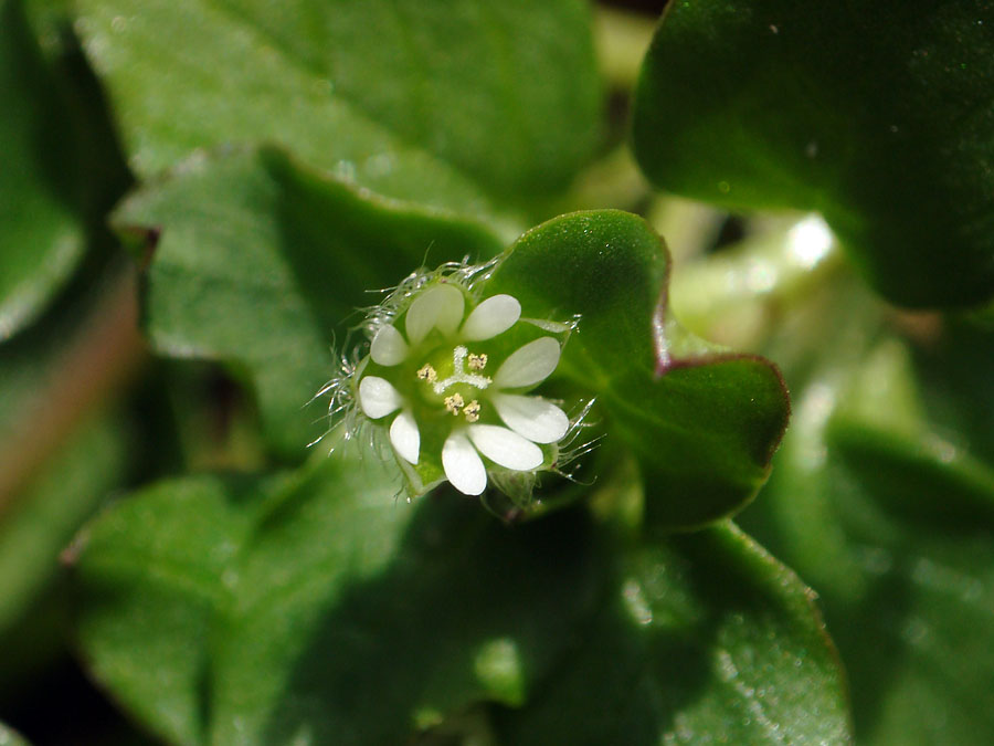 d0089024_201101.jpg