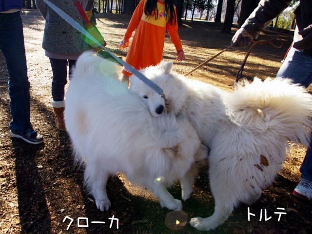 c0062832_17223451.jpg