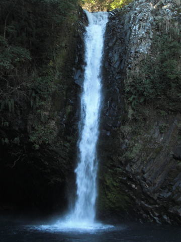 f0094843_17352795.jpg