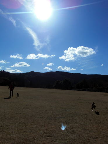 f0094843_17395969.jpg