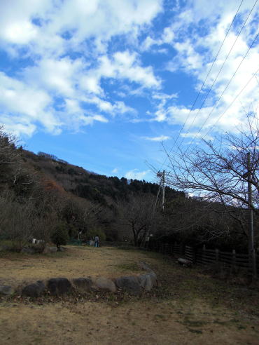 f0094843_1744840.jpg
